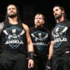 Probabile durata dell'attuale reunion dello Shield