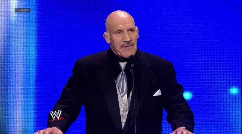 bruno sammartino mcmahon