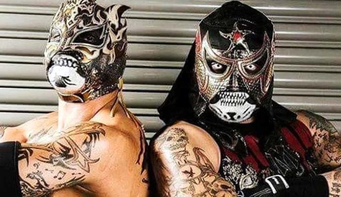 WWE: FENIX E PENTAGON JR. NON ARRIVERANNO NEL 2019?