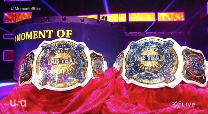 WWE | IPOTESI SUI WOMEN TAG TEAM TITLES