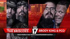 Briscoes vs Villain Enterprises