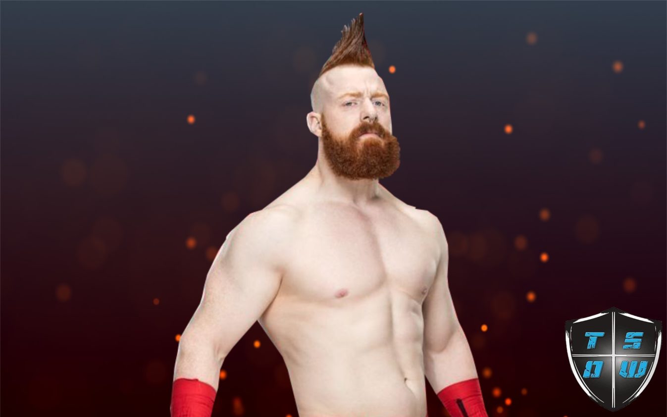 WWE Sheamus pronto a tornare sul ring