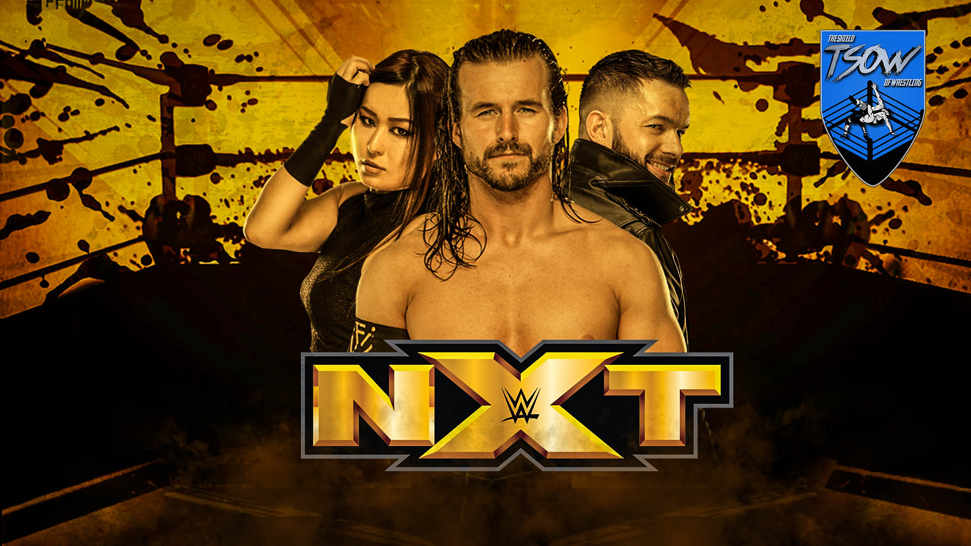 NXT Report 20112019