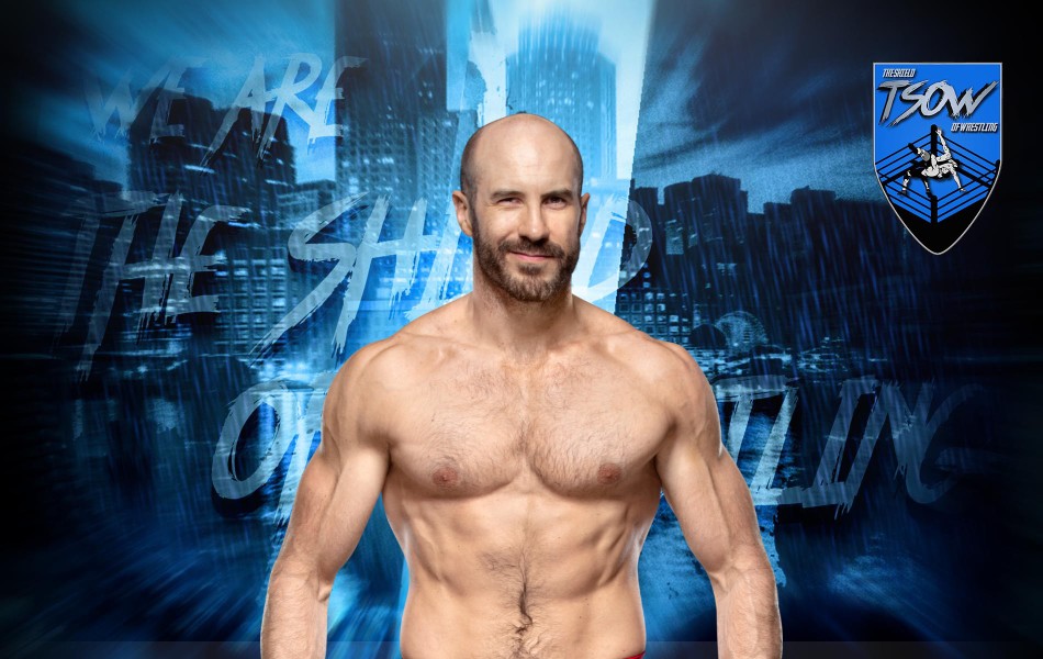 Cesaro ha intenzione di lasciare la WWE?