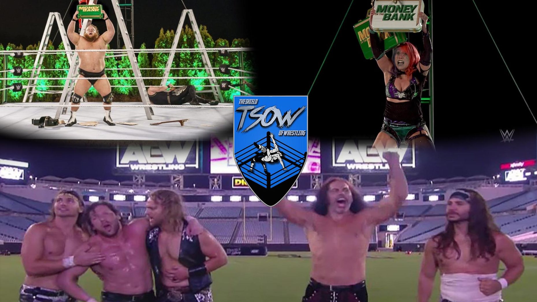 Il trionfo del wrestling comedy