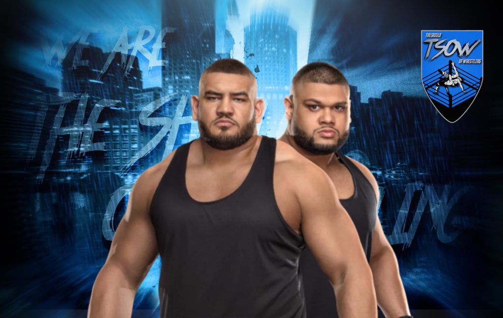 Rezar invita la UFC ad ingaggiarlo per un match nella gabbia