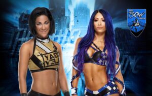 Sasha Banks ha sfidato Bayley in un Hell in a Cell Match