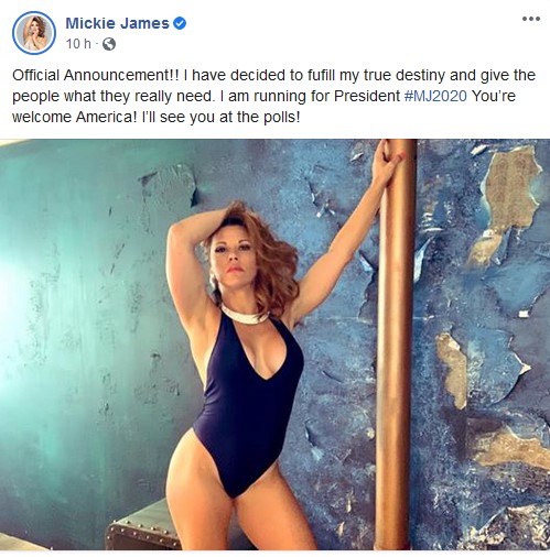 Mickie James presidente: il post ironico della lottatrice