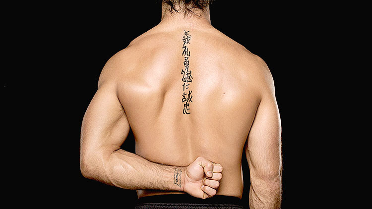 seth rollins bushido code