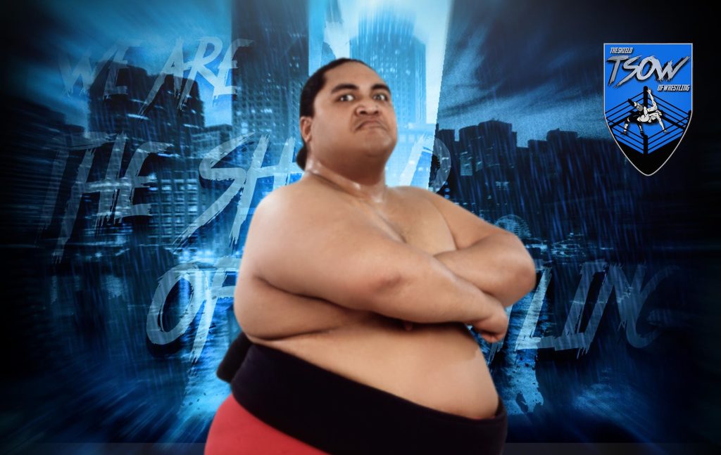 Yokozuna è stato l'avversario più difficile di The Undertaker