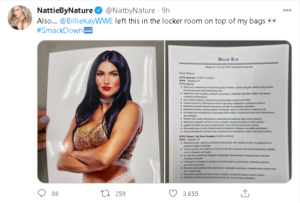 Billie Kay: che cosa c'è scritto nel curriculum di SmackDown?