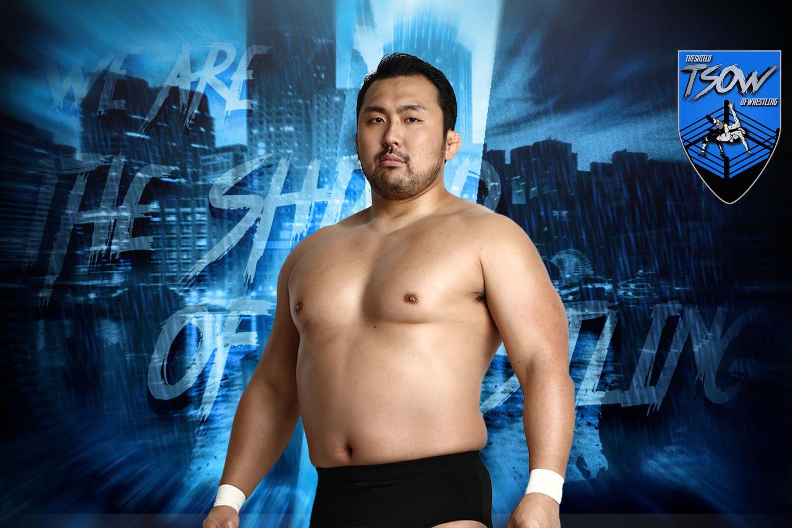 Hideki Suzuki The Shield Of Wrestling