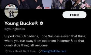 La nuova bio su Twitter degli Young Bucks!