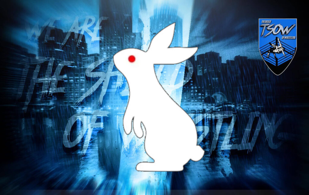 White Rabbit: uomo vestito da coniglio tra il pubblico
