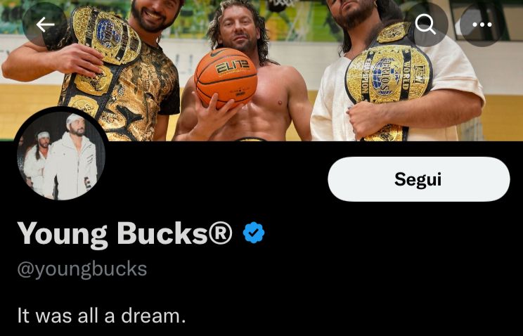Young Bucks - Twitter Bio