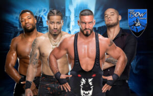NXT Vengeance Day 2024 - Anteprima del PLE WWE