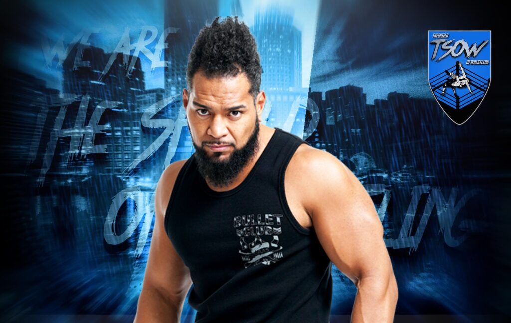 Tonga Loa criticato per aver botchato un low blow a MITB