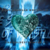 Risultati GCW The Coldest Winter 3