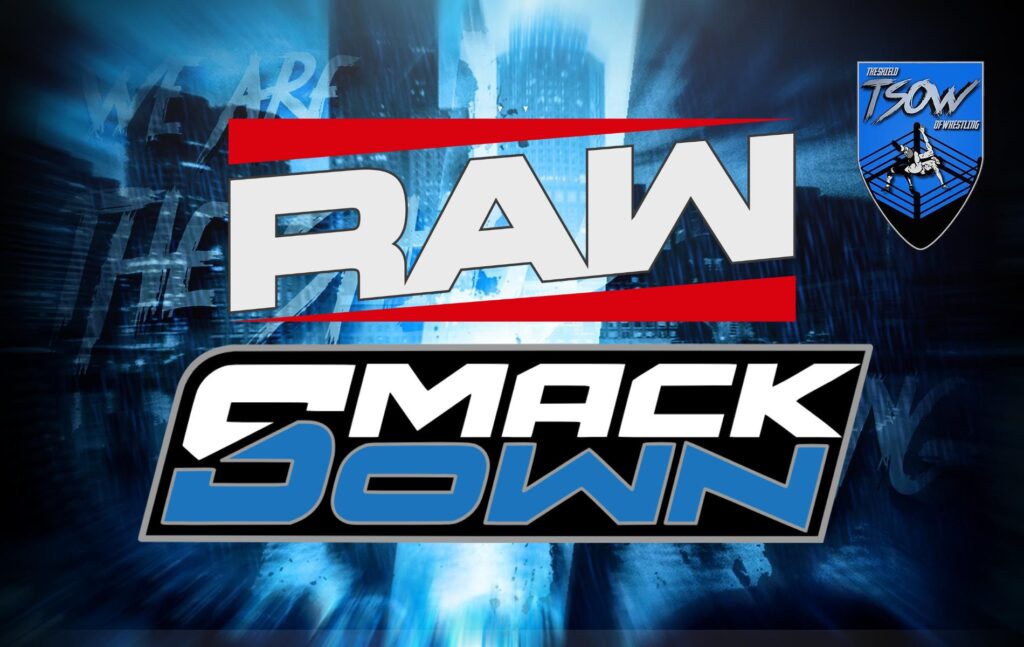 RAW e SmackDown, patch speciali per le trading cards