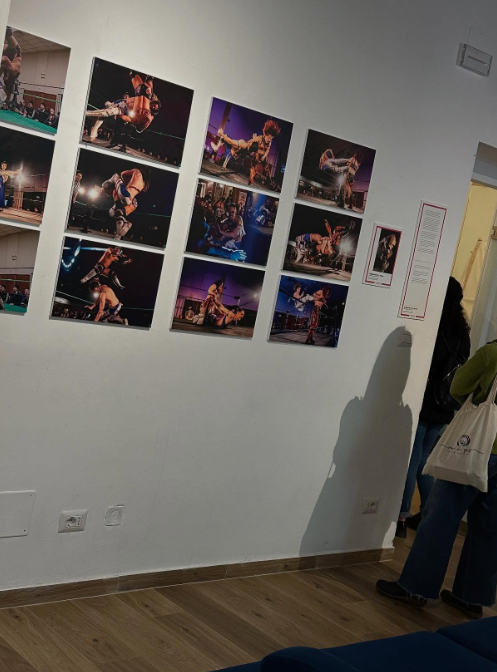 Max Peach, alcuni suoi match in mostra in una galleria d'arte