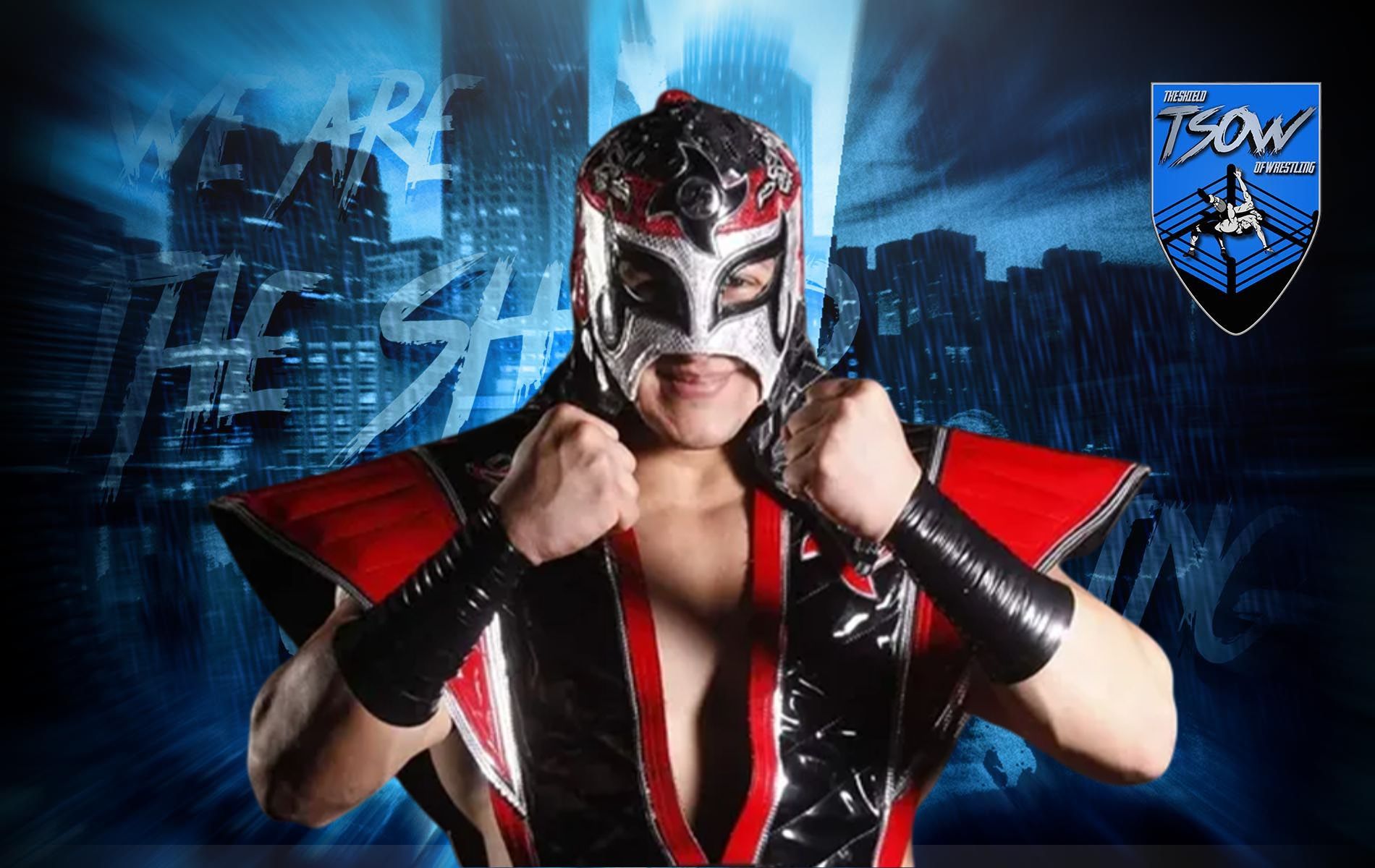 WWE TNA インパクト オクタゴン リング Ring | TNA Wiki | Fandom