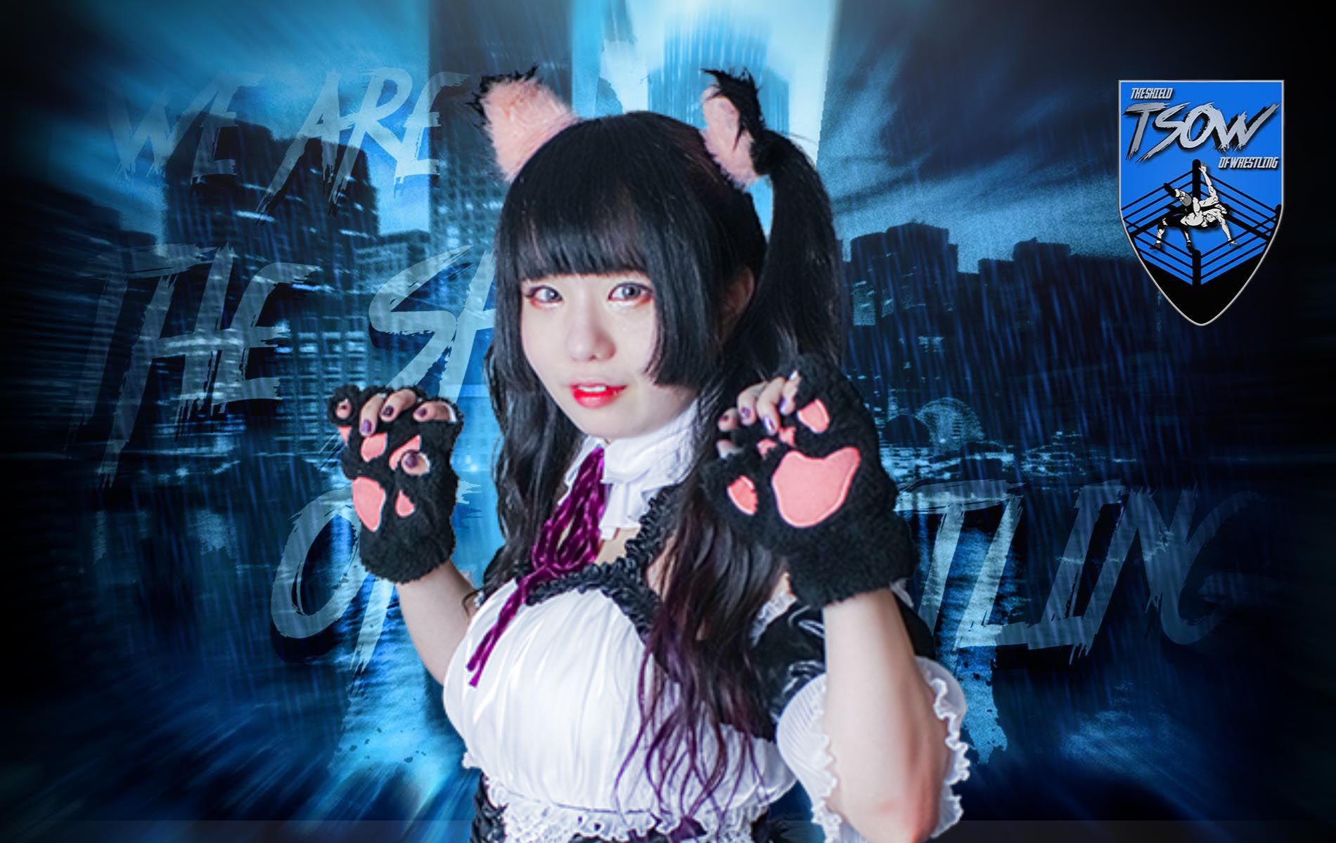 Haruna Neko vince l'Ironman Heavymetalweight nello show di ritiro