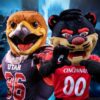 Swoop vs Bearcat, match tra mascotte prima di SmackDown