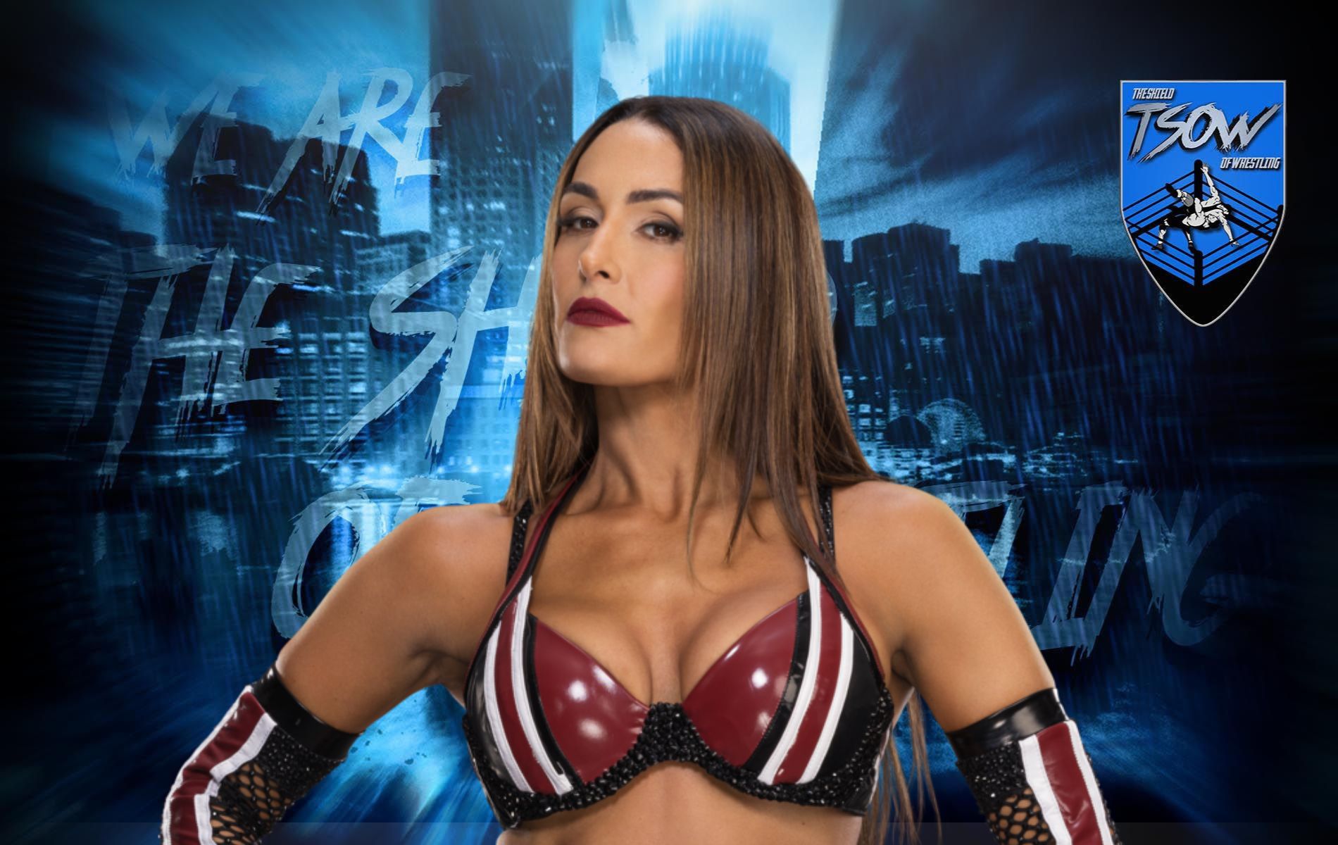 Nikki Bella: nuovi dettagli sul suo infortunio