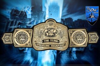 WWE Tag Titles, preoccupazione per mancanza di competizione